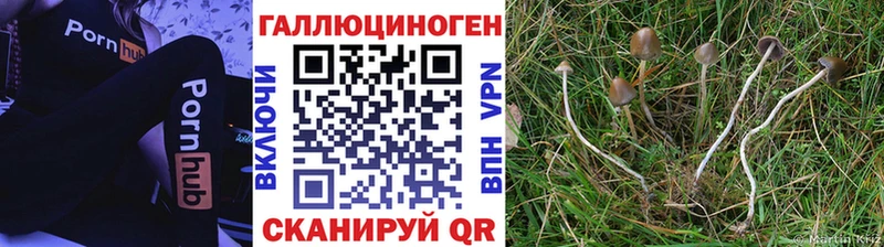 Галлюциногенные грибы Magic Shrooms  закладки  МЕГА ONION  Углегорск 